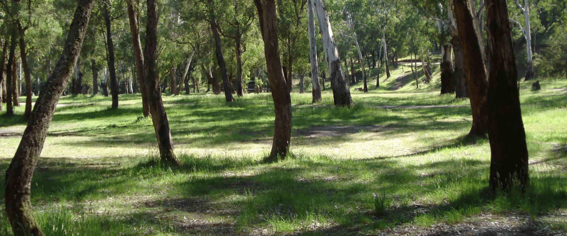 Discover the best free camping spots in Victoria for family adventures - Great Escape Caravans