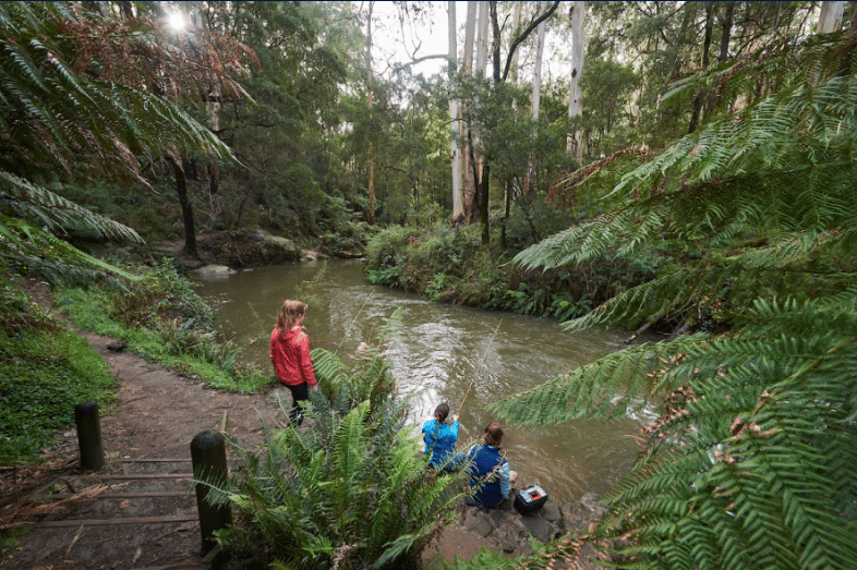 Discover the best free camping spots in Victoria for family adventures - Great Escape Caravans